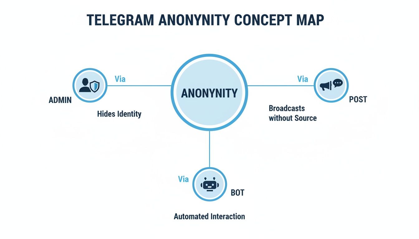 A concept map illustrating Telegram anonymity, showing how admin hides identity, posts broadcast without source, and bots provide automated interaction.