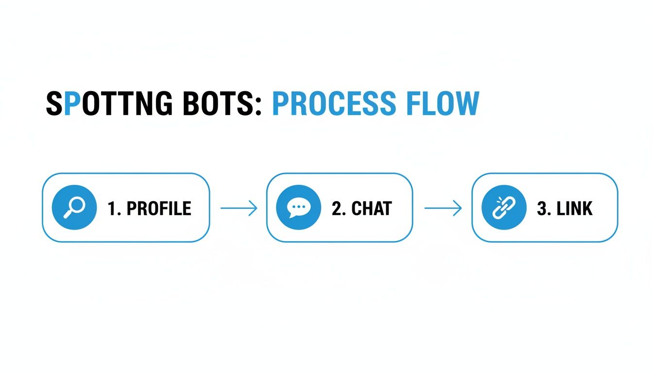 A three-step process flow for spotting bots, including profile review, chat analysis, and link examination.