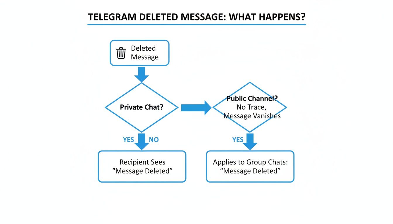 Flowchart illustrating Telegram message deletion outcomes in private chats, group chats, and public channels.