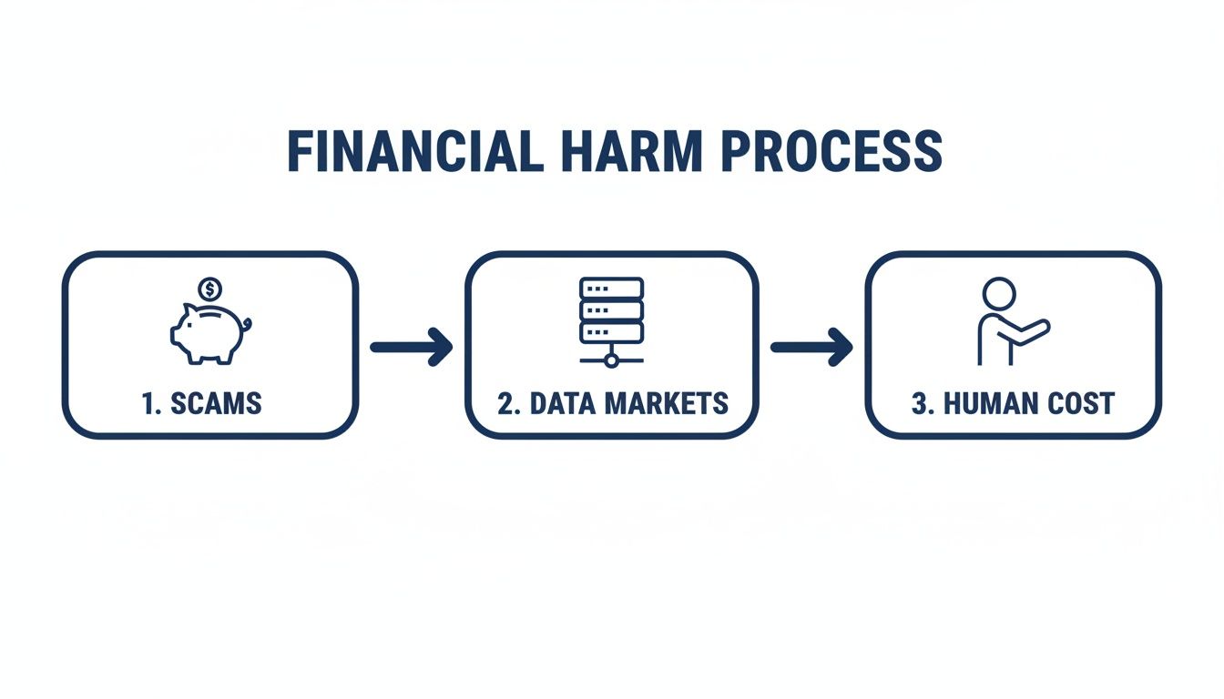 A flowchart illustrates the financial harm process: Scams lead to Data Markets, which cause Human Cost.
