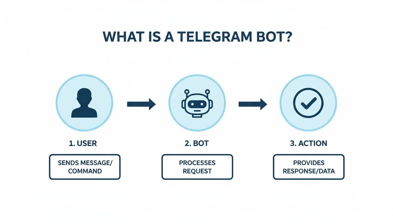 A diagram illustrating how a Telegram bot works: user sends message, bot processes request, action provides response.